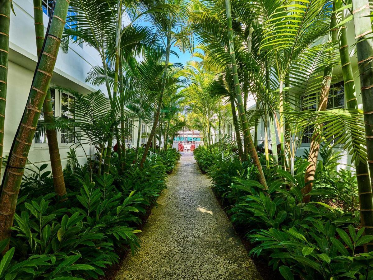 Axel Beach Miami-South Beach - Adults Only Miami Beach Esterno foto
